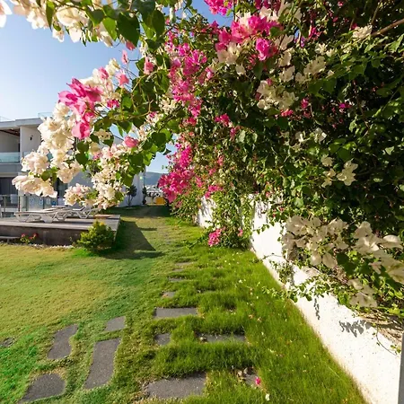公寓 Modern Apartment Near Beach With Central Location In Bodrum 居姆贝特